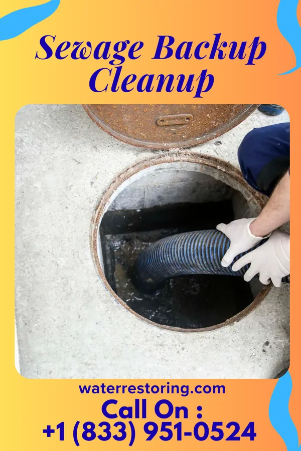 Sewage Backup Cleanup in Glen Ridge, NJ