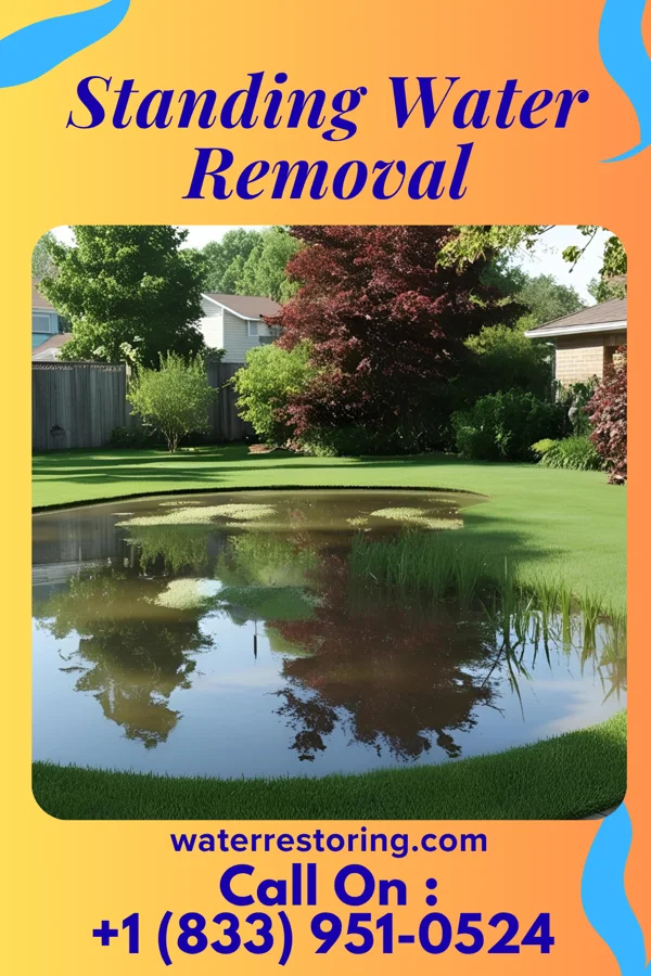 Standing Water Removal in Glen Ridge, NJ